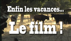 le-film